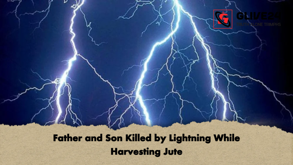 Father and Son Killed by Lightning While Harvesting Jute Father and Son Killed by Lightning While Harvesting Jute