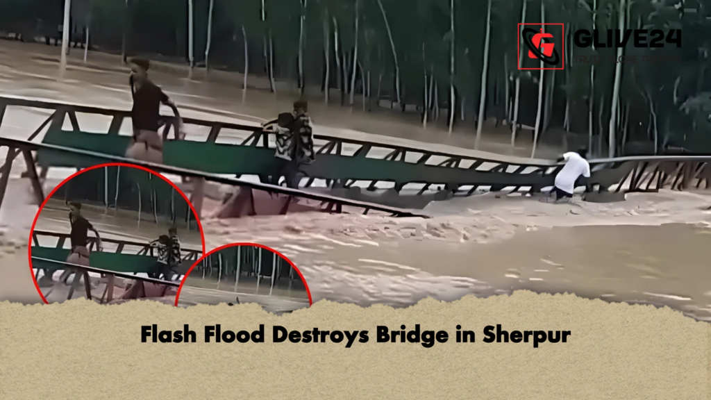 Flash Flood Destroys Bridge in Sherpur 2 Flash Flood Destroys Bridge in Sherpur