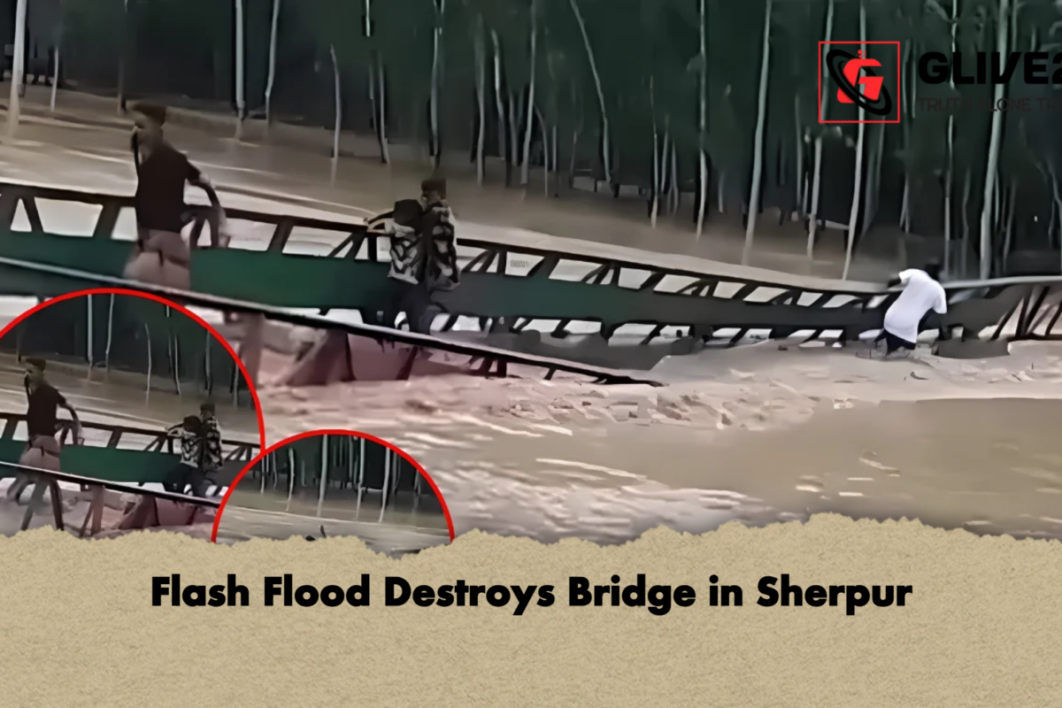 Flash Flood Destroys Bridge in Sherpur