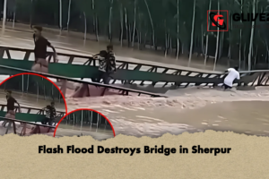 Flash Flood Destroys Bridge in Sherpur
