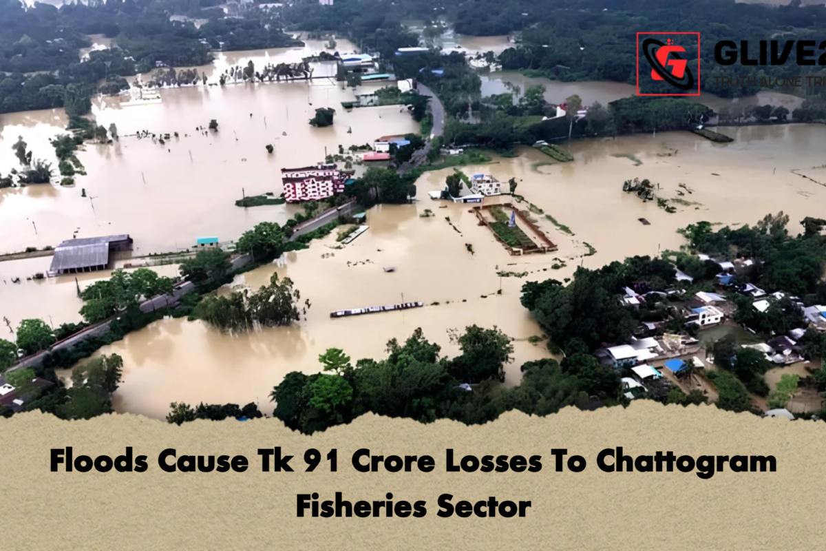 Floods Cause Tk 91 Crore Losses To Chattogram Fisheries Sector