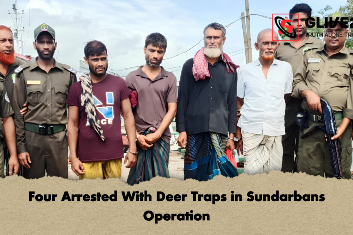 Four Arrested With Deer Traps in Sundarbans Operation