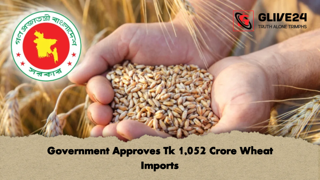 Government Approves Tk 1052 Crore Wheat Imports 2 Government Approves Tk 1,052 Crore Wheat Imports