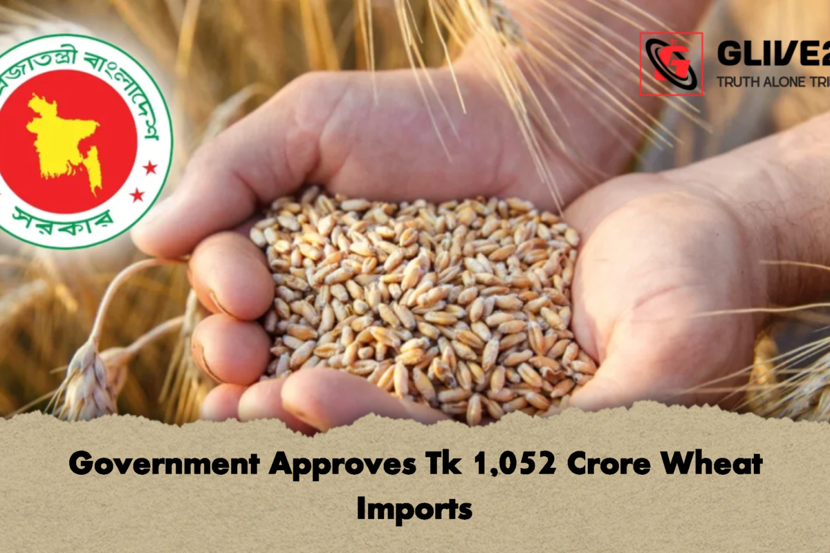 Government Approves Tk 1,052 Crore Wheat Imports