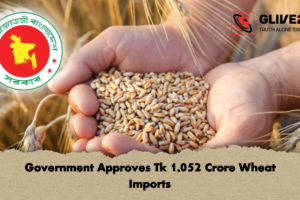 Government Approves Tk 1,052 Crore Wheat Imports