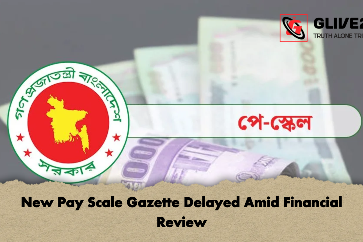 New Pay Scale Gazette Delayed Amid Financial Review