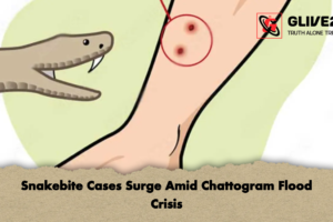 Snakebite Cases Surge Amid Chattogram Flood Crisis