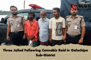 Three Jailed Following Cannabis Raid in Galachipa Sub-District