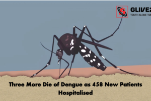 Three More Die of Dengue as 458 New Patients Hospitalised