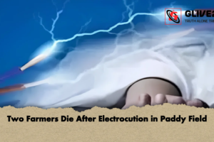 Two Farmers Die After Electrocution in Paddy Field