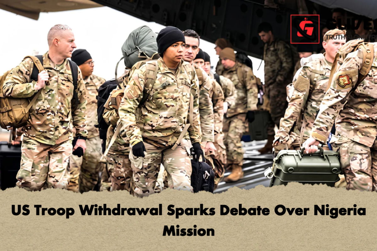 US Troop Withdrawal Sparks Debate Over Nigeria Mission