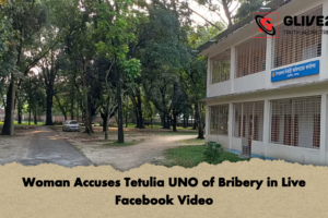 Woman Accuses Tetulia UNO of Bribery in Live Facebook Video