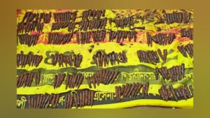 334 Rounds of Ammunition Recovered During Bogura Drain Work
