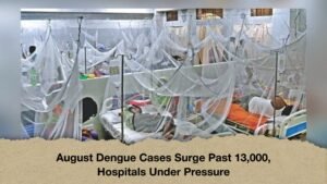 August Dengue Cases Surge Past 13,000, Hospitals Under Pressure