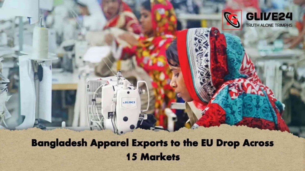 Bangladesh Apparel Exports to the EU Drop Across 15 Markets