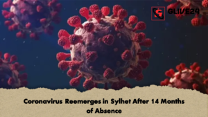 Coronavirus Reemerges in Sylhet After 14 Months of Absence 2 Coronavirus Reemerges in Sylhet After 14 Months of Absence