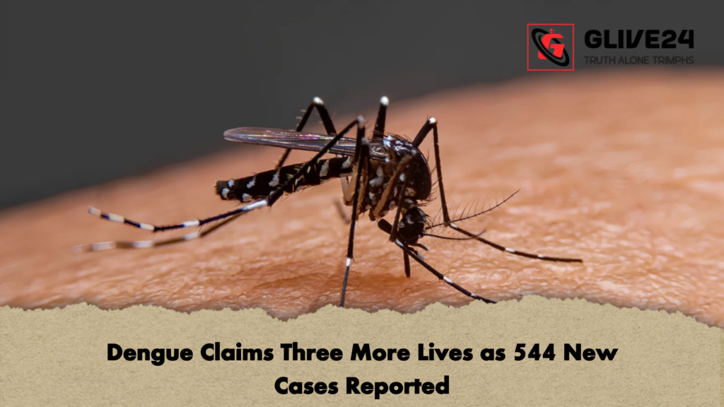 Dengue Claims Three More Lives as 544 New Cases Reported 2 Dengue Claims Three More Lives as 544 New Cases Reported