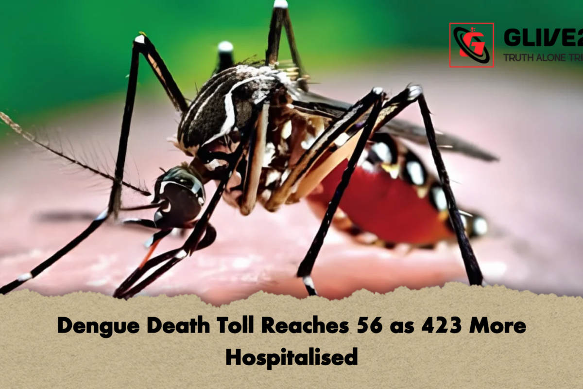 Dengue Death Toll Reaches 56 as 423 More Hospitalised