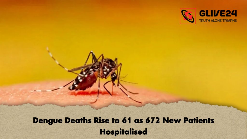 Dengue Deaths Rise to 61 as 672 New Patients Hospitalised 2 Dengue Deaths Rise to 61 as 672 New Patients Hospitalised