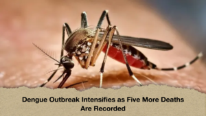 Dengue Outbreak Intensifies as Five More Deaths Are Recorded Dengue Outbreak Intensifies as Five More Deaths Are Recorded