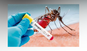 Dengue Surge Bangladesh Records 756 Daily Admissions Dengue Surge: Bangladesh Records 756 Daily Admissions
