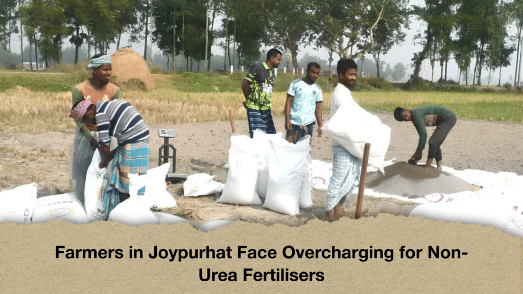 Farmers in Joypurhat Face Overcharging for Non-Urea Fertilisers