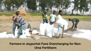 Farmers in Joypurhat Face Overcharging for Non-Urea Fertilisers