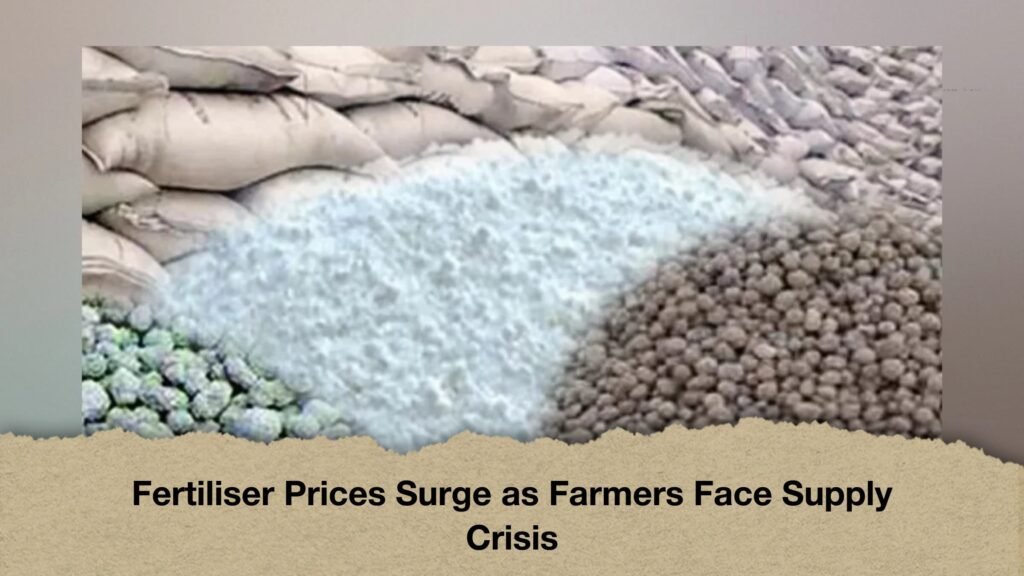 Fertiliser Prices Surge as Farmers Face Supply Crisis