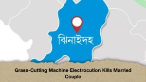Grass-Cutting Machine Electrocution Kills Married Couple