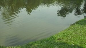 Heartbreak in Sherpur as Missing Children Found Dead Heartbreak in Sherpur as Missing Children Found Dead