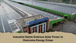 Industrial Giants Embrace Solar Power to Overcome Energy Crises