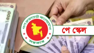 Ninth Pay Scale Draft Awaits Cabinet Decision Ninth Pay Scale Draft Awaits Cabinet Decision