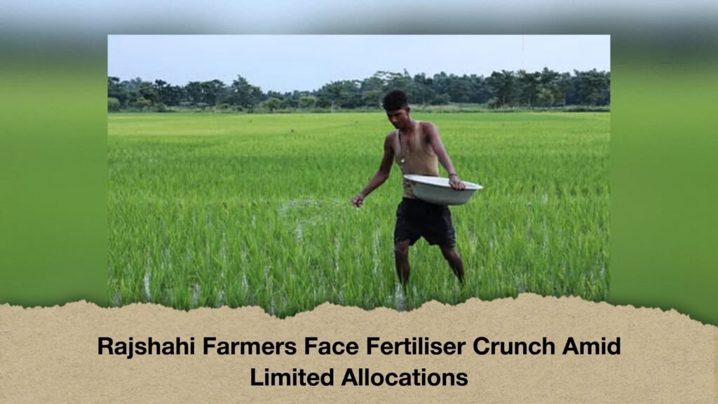 Rajshahi Farmers Face Fertiliser Crunch Amid Limited Allocations