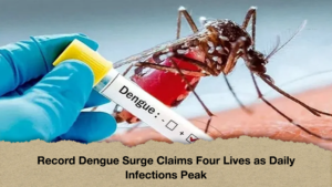 Record Dengue Surge Claims Four Lives as Daily Infections Peak Record Dengue Surge Claims Four Lives as Daily Infections Peak