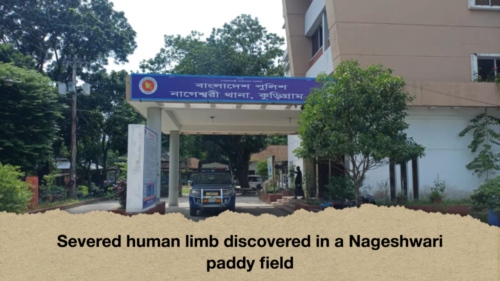 Severed human limb discovered in a Nageshwari paddy field Severed human limb discovered in a Nageshwari paddy field