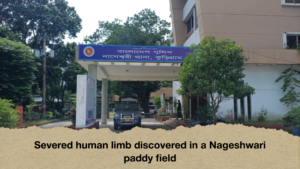 Severed human limb discovered in a Nageshwari paddy field Severed human limb discovered in a Nageshwari paddy field