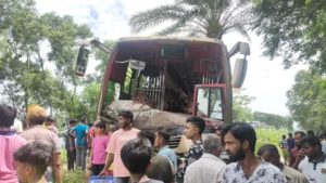 Three Killed as Bus Collides Head On with Cattle Laden Nasimon Three Killed as Bus Collides Head-On with Cattle-Laden Nasimon