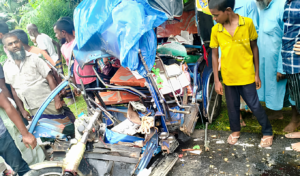 Two Dead in Tragic Three-Way Collision in Thakurgaon