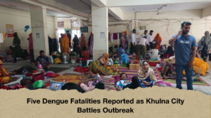 Five Dengue Fatalities Reported as Khulna City Battles Outbreak