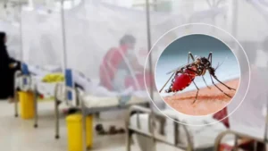 Bangladesh Dengue Death Toll Hits 178 as Hospitalisations Surge