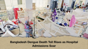 Bangladesh Dengue Death Toll Rises as Hospital Admissions Soar
