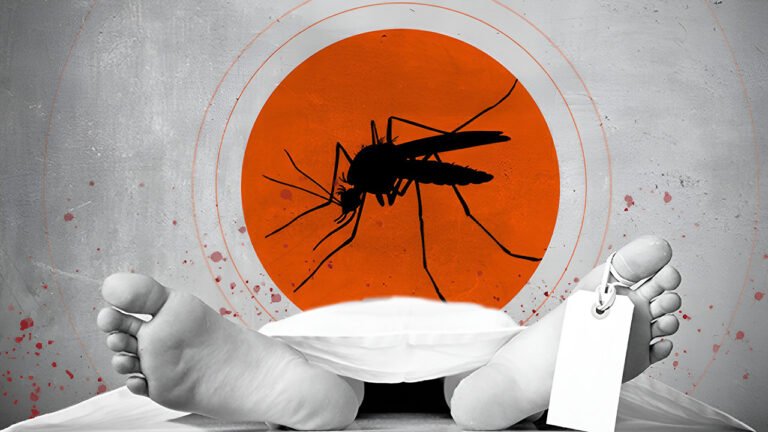Bangladesh Dengue Death Toll Tops 100 Following Five New Fatalities Bangladesh Dengue Death Toll Tops 100 Following Five New Fatalities
