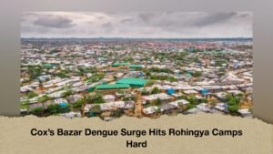 Cox’s Bazar Dengue Surge Hits Rohingya Camps Hard