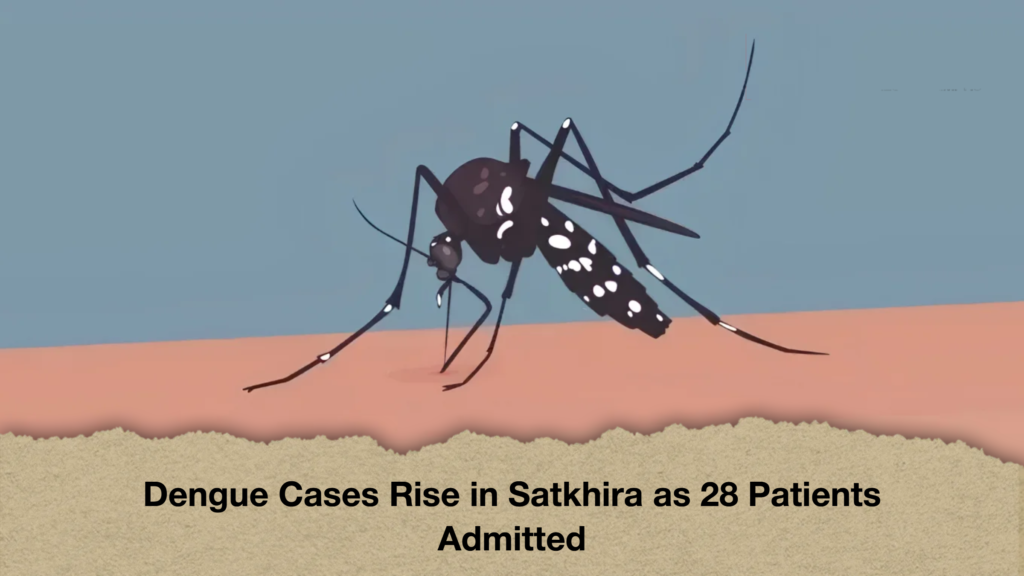 Dengue Cases Rise in Satkhira as 28 Patients Admitted