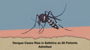 Dengue Cases Rise in Satkhira as 28 Patients Admitted