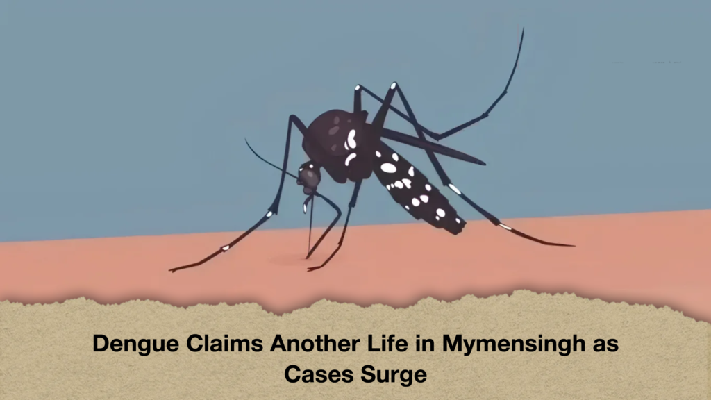 Dengue Claims Another Life in Mymensingh as Cases Surge
