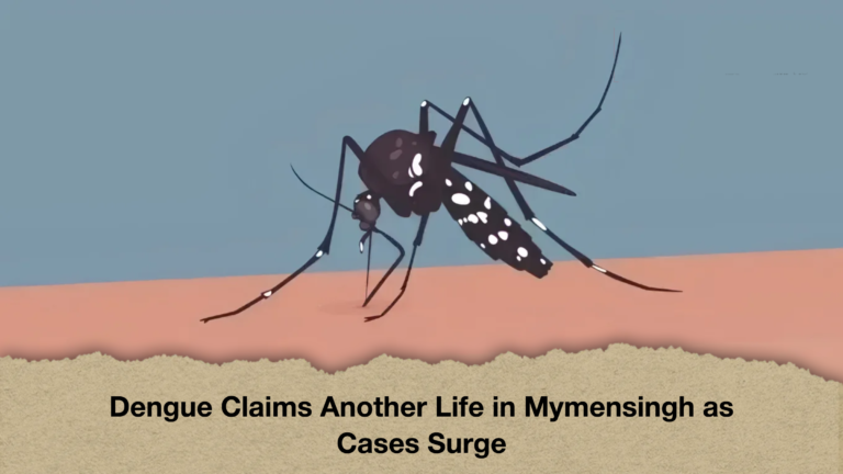 Dengue Claims Another Life in Mymensingh as Cases Surge