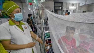 Dengue Claims Five More Lives as Hospitalisations Surge Nationwide Dengue Claims Five More Lives as Hospitalisations Surge Nationwide