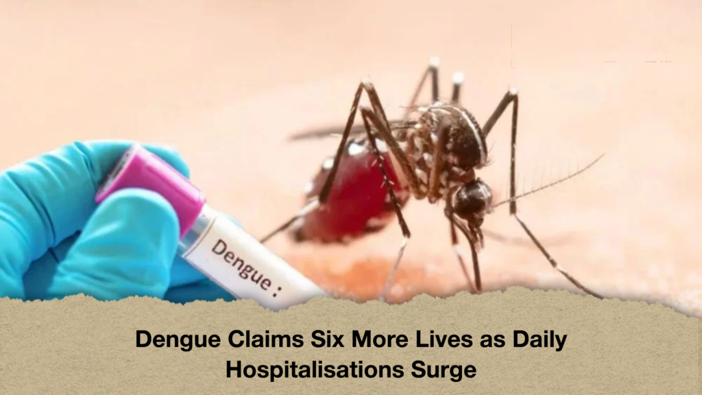 Dengue Claims Six More Lives as Daily Hospitalisations Surge 3 Dengue Claims Six More Lives as Daily Hospitalisations Surge Dengue Claims Six More Lives as Daily Hospitalisations Surge