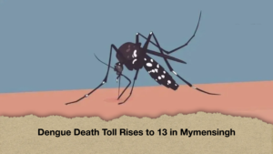 Dengue Death Toll Rises to 13 in Mymensingh